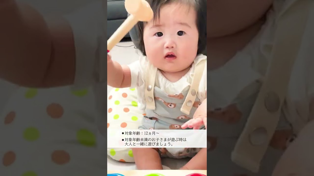 パウンド アンド タップ ベンチ 通販 | おもちゃ・遊具・乗用玩具