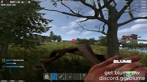 rust alkad fight ft.BLUME.PW