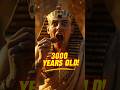 Would You Eat 3000 Year Old Honey Minutetowow 