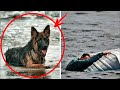 Herrchen schickte "armen Hund" vom sinkenden Boot, ohne Vorstellung, was noch passieren wird...