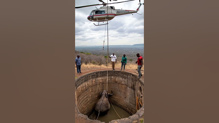 An elephant has fallen in a well and a helicopter has come to rescue it #elephantrescue #helicopter