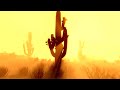 Cactus and joshua tree in desert  ambient relaxing music for stress relief and meditation