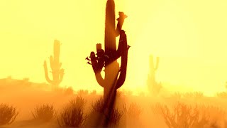 Cactus and Joshua Tree in Desert  Ambient Relaxing Music for Stress Relief and Meditation