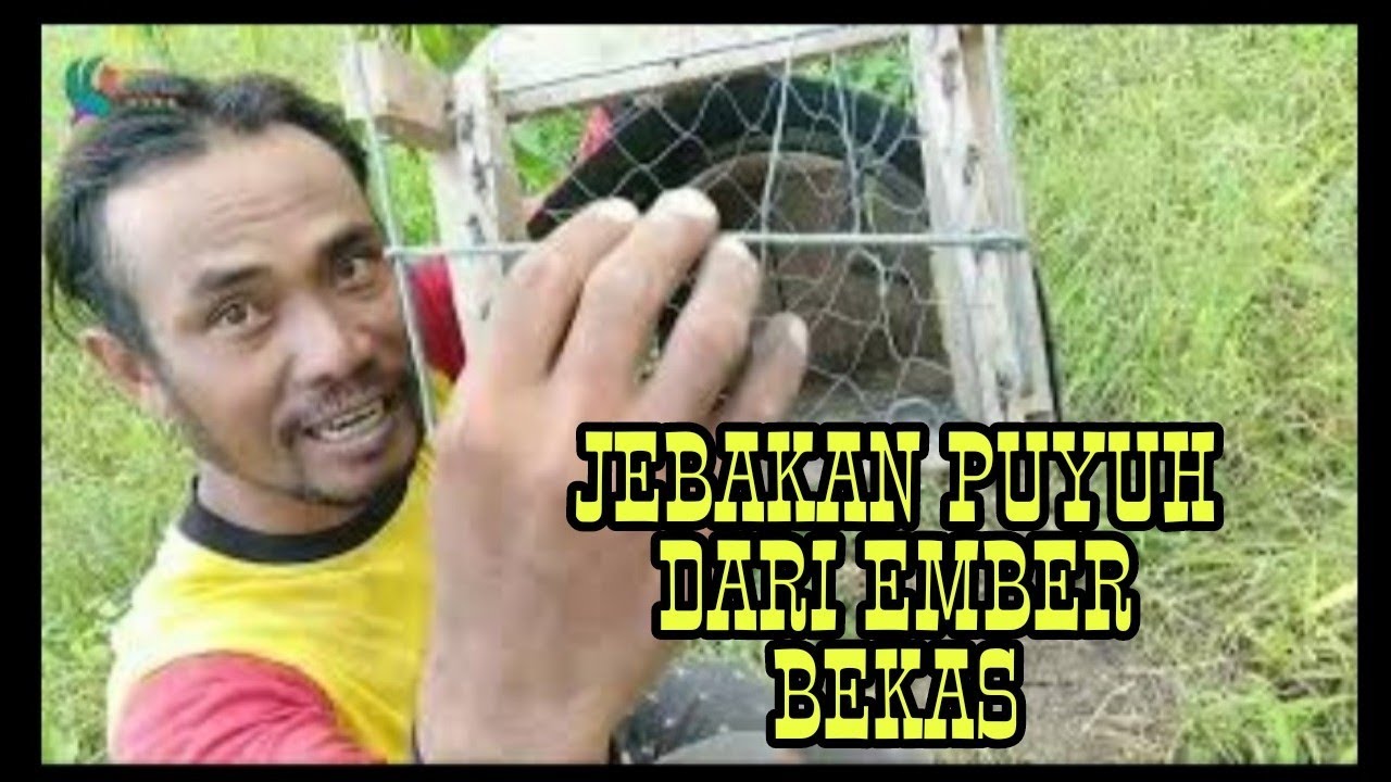 JEBAKAN PUYUH DARI EMBER BEKAS ANTI LOLOS