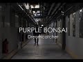 PURPLE BONSAI - Dreamcatcher (official music video)