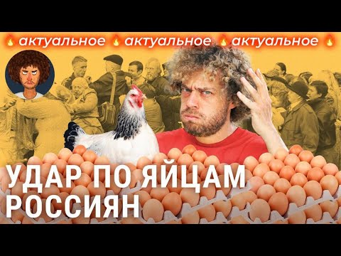 Как выросли цены в России: от яиц по 200 до инфляции и курса доллара | Экономика, политика, санкции