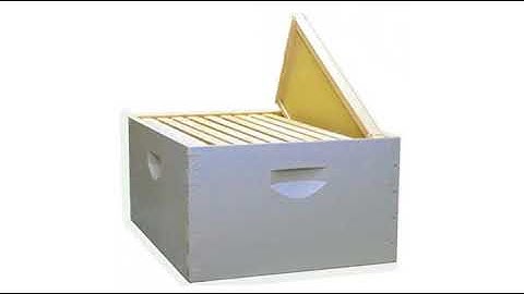 New Review Complete Bee Hive Kit, Painted, Assembled, 10-Frame, Made In The USA