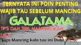 Tips dan trik memancing ikan galatama lele | Kuncinya ketemu,mahir mancingnya screenshot 3