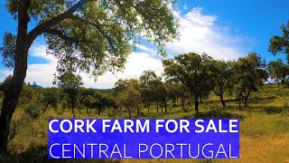 CORK FARM WITH SLATE RUIN FOR SALE  CENTRAL PORTUGAL CHEAP PROPERTY