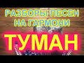 РАЗБОРЫ! Туман(Бабкины Внуки)