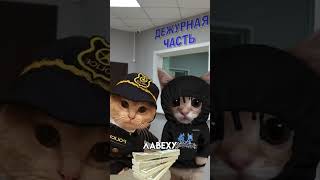 один день из жизни за*л*дч*ка #котята #жизнь #video #пояснение