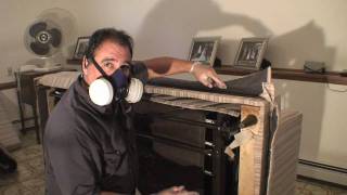 bed bug treatment part 1