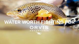 Fly Fishing Colorado's Arkansas River with Orvis Adventures | Gold Medal Wild Brown Trout River