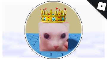 How to get the KING BINGUS BADGE & MORPH in FIND THE FLOPPA MORPHS | Roblox