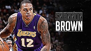 Shannon Brown HIGH FLYING Career Highlights!