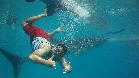 MAIL CALL: MLZB, JG METALS AND OTHER MAIL