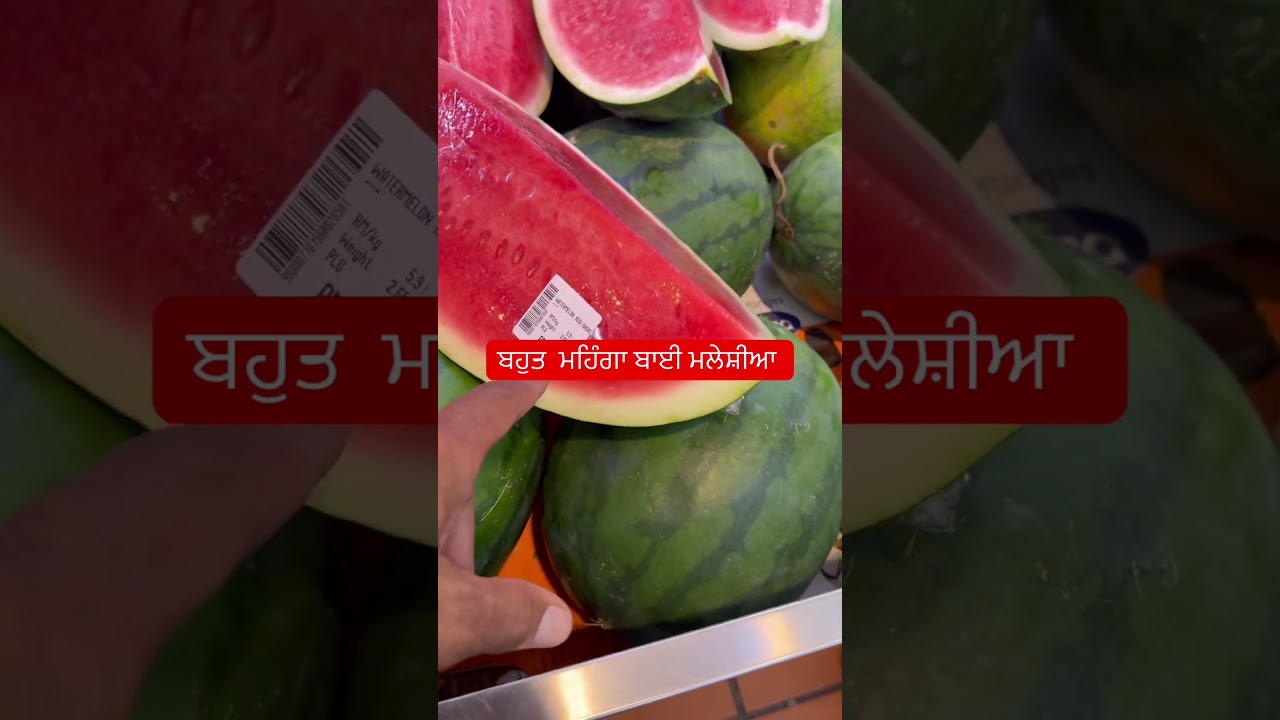 ⁣ਬਹੁਤ ਮਹਿੰਗਾ ਮਲੇਸ਼ੀਆ