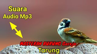 SUARA TERBAIK GEREJA TARUNG !!