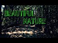 Sandaraja Wana Arana | Nature Sri Lanka