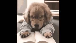 Ders Çalışırken Ben