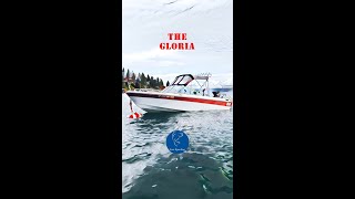 Tahoe Fishing Boat - Gloria#shorts