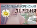 Настоящая Корейская Деревня. Как общаются корейские семьи? Серия 2 / Корея Влог