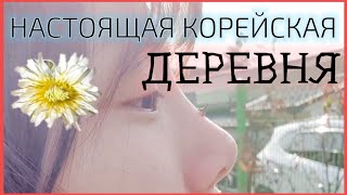 Настоящая Корейская Деревня. Как общаются корейские семьи? Серия 2 / Корея Влог