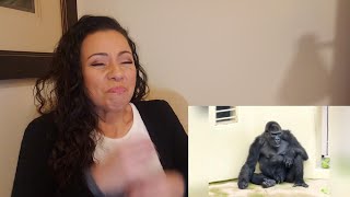98% LOSE Try Not to LAUGH Challenge IMPOSSIBLE |😂 Best Memes Compilation 2023 🤣1/10/2024 | REACTION!