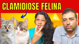 CLAMIDIOSE FELINA ( Causa, Sintomas e Tratamento)