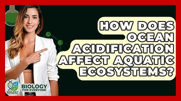 How Does Ocean Acidification Affect Aquatic Ecosystems? - Biology For Everyone
