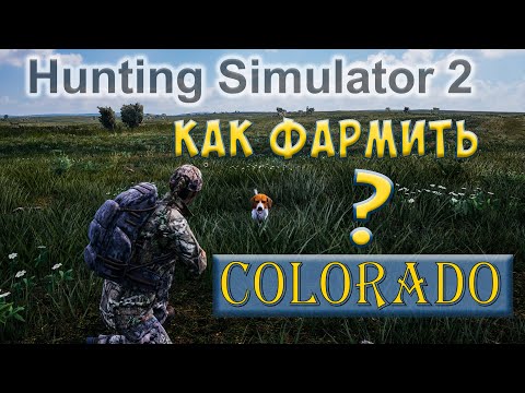 Видео: Гайд по фарму в Hunting Simulator 2