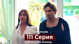 Зимородок 111 Cерия (Короткий Эпизод) (Русский Дубляж)