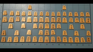 How to Play Dai Shogi (大将棋), Part One: The Basics