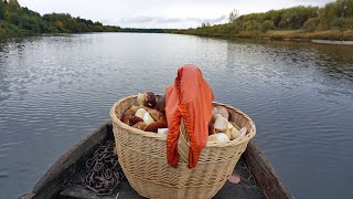 Сплавал ЗА БОРОВИКАМИ на лодке с другом! Бор-беломошник, река и БЕЛЫЕ ГРИБЫ! Красивая природа севера