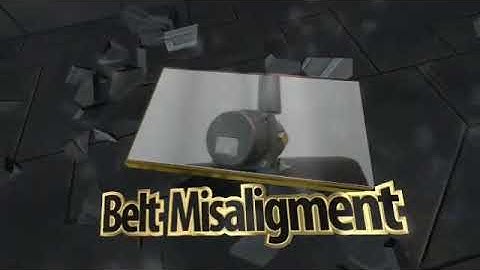 Belt Misaligment /Belt Sway Switch/Belt Drift Switch-DBSS-20