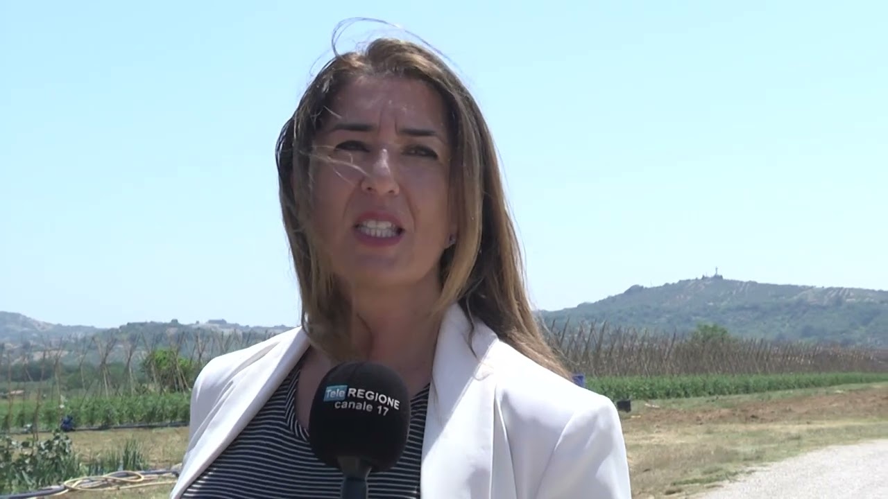 Ricerche senza sosta a Collecorvino per ritrovare Fabrizio Spagnoli -  20/06/2025