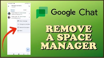 How to Remove Space Manager in Google Chat 2024?