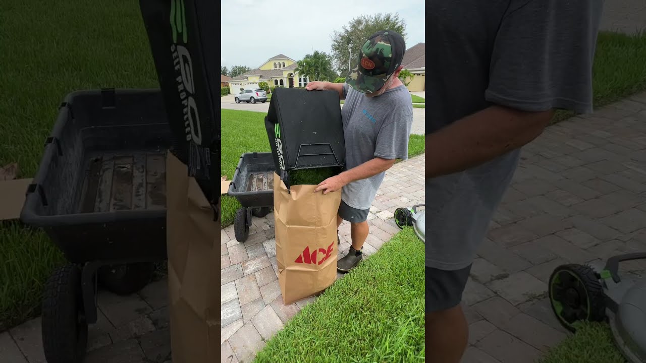 How Many Bags Will It Take Overgrown Lawn Mowing Satisfying Asmr