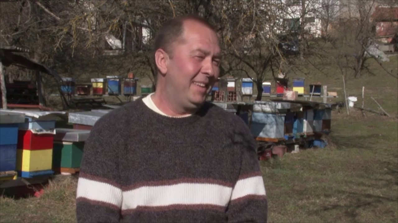 VRATIO SE NA SELO PETNJICA PCELARSTVO