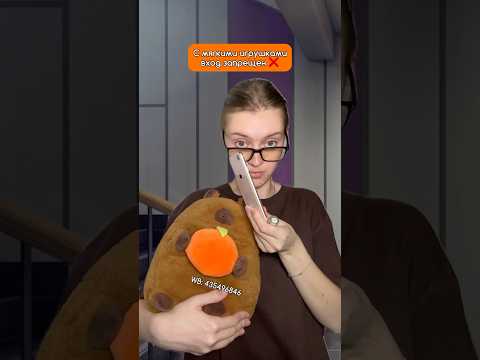 вы бы хотели себе такую сумку? капибара - пухляш TOTTY TOYS на wб: 435496846🍊