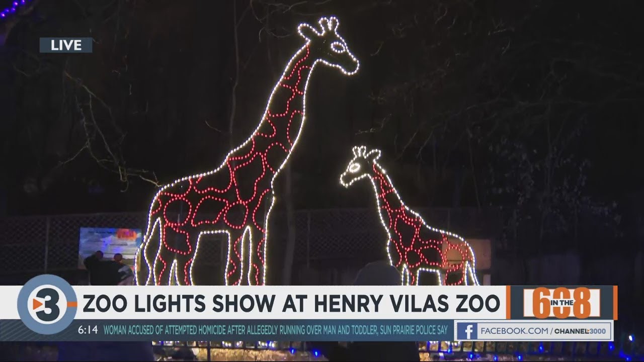 In the 608 Zoo Lights at Henry Vilas Zoo YouTube