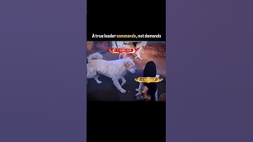 Thumbnail of #shortsfeed #viral #baby #dance #fish #song #streetfood #food #cooking #cat