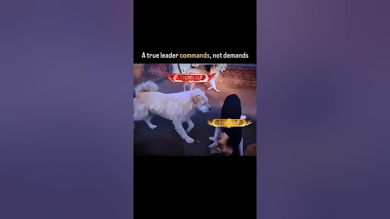 #shortsfeed #viral #baby #dance #fish #song #streetfood #food #cooking #cat