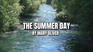 What Will You Do With Your One Wild and Precious Life? – Mary Oliver | Poetry Whale’s Haven