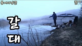 갈대 포인트 / Korea Fishing TV