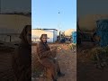 مراحل بناء 4 تأخر شركة البيطون عدم الانضباط في الوقت