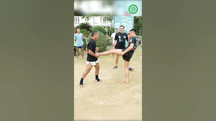 Muay Thai Training - Countering the Teep with Saenchai