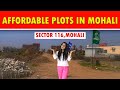 For sale  plots in mohali  dev homes  tricity property guru