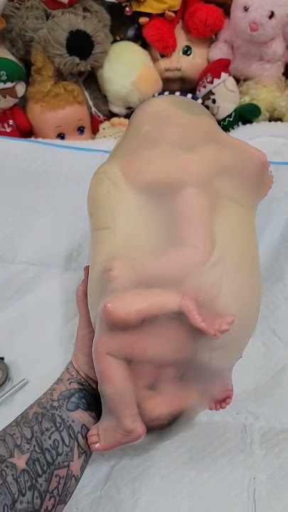 Descobrindo um Segredo Incrível: Como os Bebês Reborn Nascem?