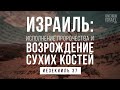 Израиль: исполнение пророчества и возрождение сухих костей (Иезекииль 37)